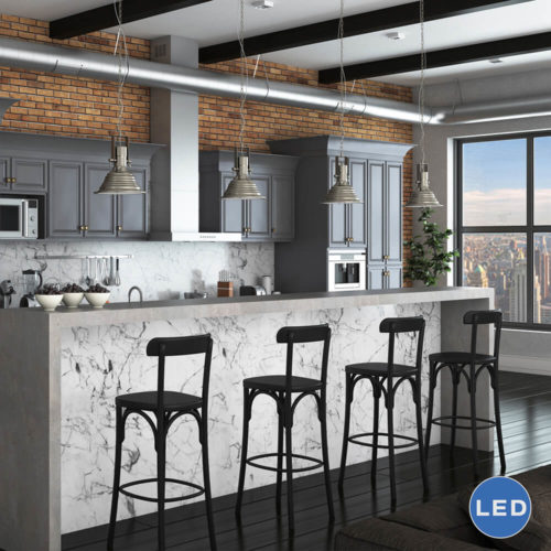 Dorado VVP21041SN 11″ Industrial LED Pendant, Satin Nickel