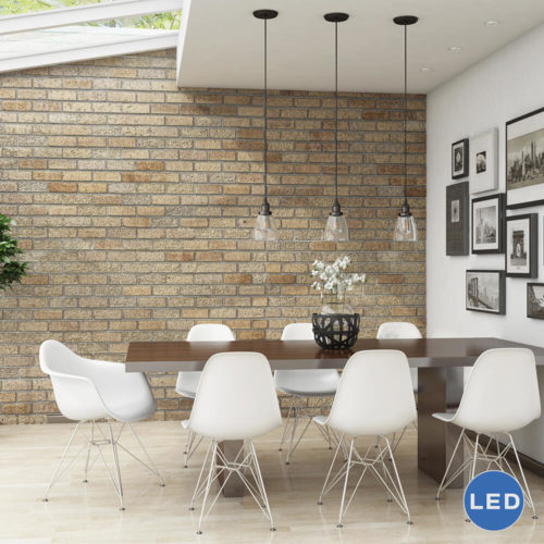 Delphinus VVP21111BZ 5" Industrial LED Pendant Light, Architectural Bronze