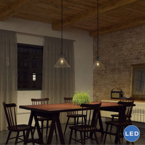 Delphinus VVP21131BZ 10" Industrial LED Pendant, Architectural Bronze