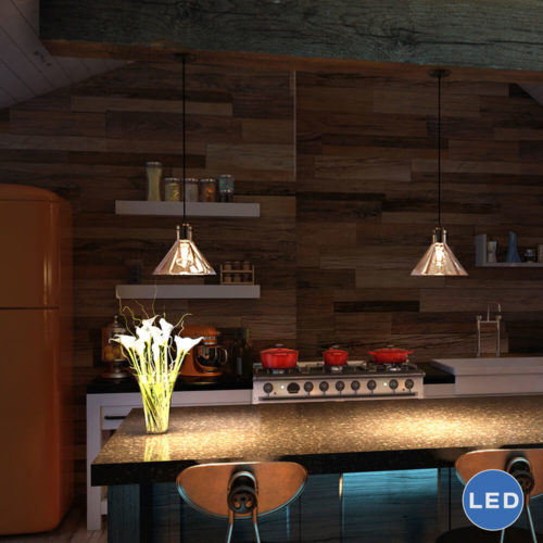 Delphinus VVP21131BZ 10" Industrial LED Pendant, Architectural Bronze