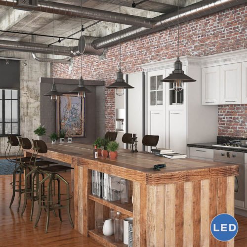 Delphinus VVP21201BZ 9" Industrial LED Pendant, Architectural Bronze
